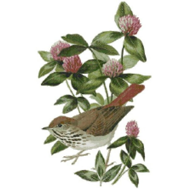 Vermont State Bird And Flower Counted Cross Stitch Pattern Walmart Com Walmart Com