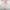 Pink, variant on Blmnix Green Stretchy Pants for Woman Trousers High Straight-Leg Ankle Dress pants Palazzo Pants for Junior Winter