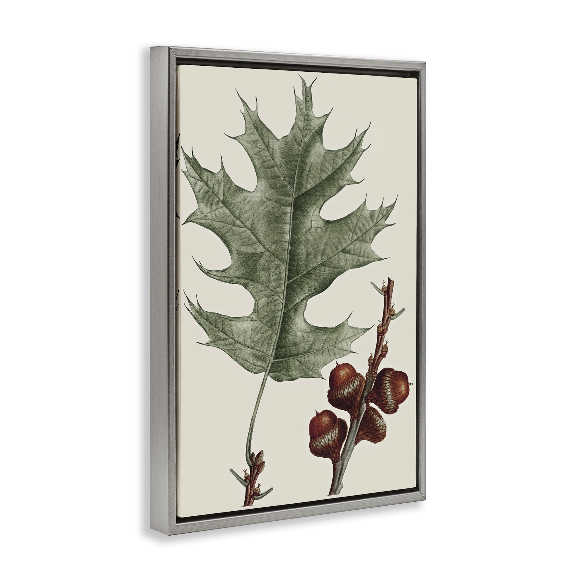 Stupell Industries Vintage Black Oak Leaf Plants & Flowers Painting Gray Floater Framed Canvas Art Print Wall Art, 21 x 31