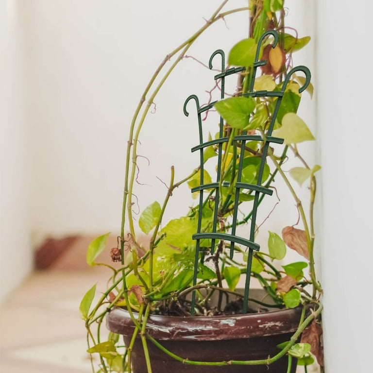 Trellis for Potted Plants, Stackable Small Indoor Plant Trellis for  Climbing Plants Outdoor for Vine Ivy Hoya Houseplants Flower Plant Support,  2/4/8 Pack - Walmart.com
