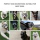 thumbnail image 4 of Gafas De Sol Para Perros A Prueba De Viento, Gafas De Sol Para Mascotas, Gafas De Sol Impermeables De Lujo Para Mascotas, Gafas De Sol Para Perros, Decoración Para Mascotas ANGGREK Otros, 4 of 8