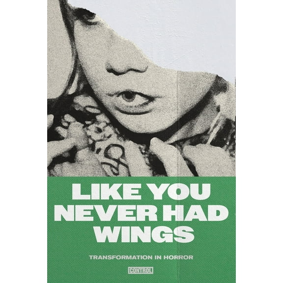 Like You Never Had Wings: Transformations In Horror, (Paperback)