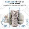thumbnail image 4 of Kit de Cultivo de Hongos Fungiworks USA Orgánico 1.8 kg Melena de León, 4 of 8