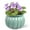 Pumpkin Blue, variant on BUYMAX 8 inch African Violet Pots – Ceramic Easy Self Watering Plant Pot for Busy Plant Lovers,Modern Decor White Flower Pots