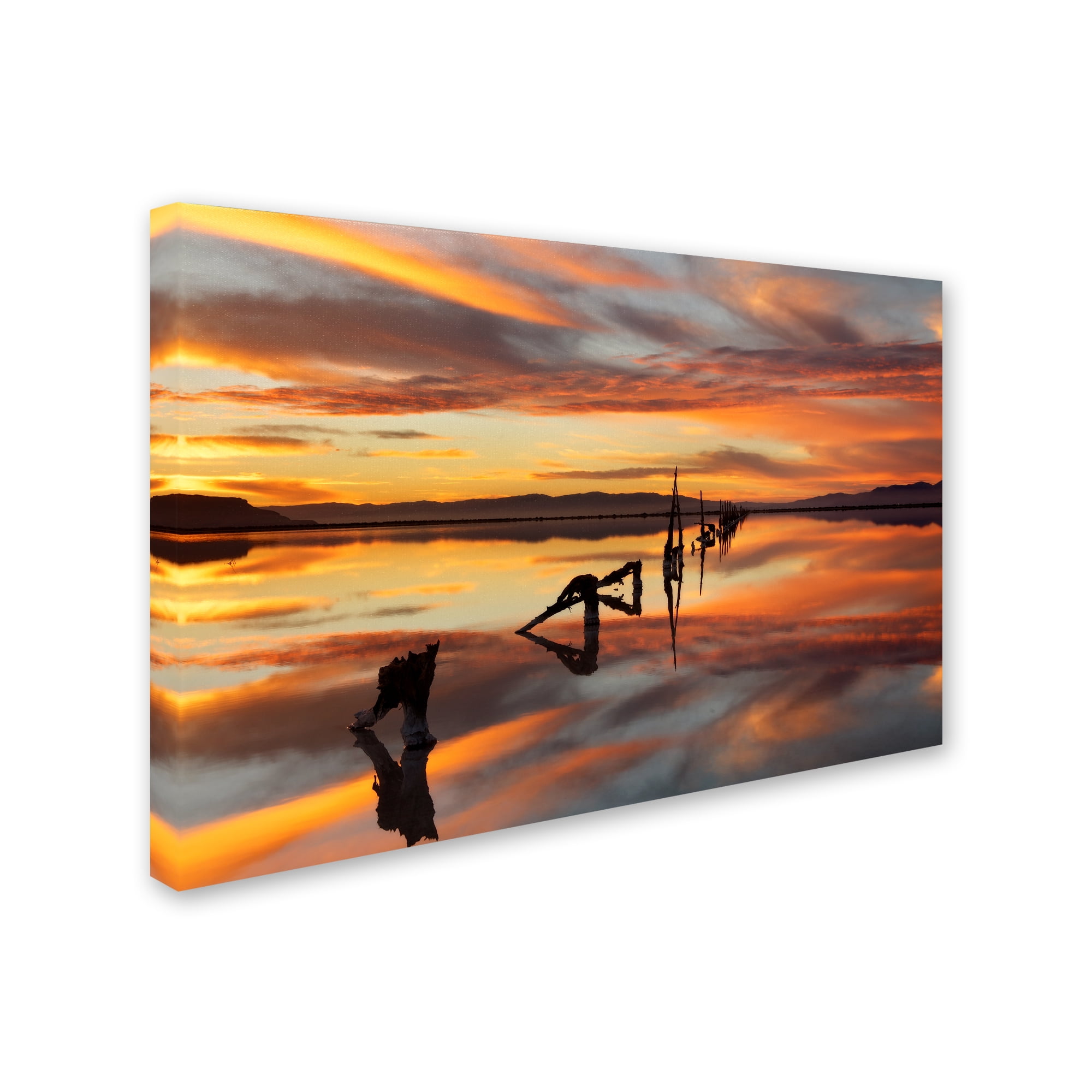 Trademark Fine Art 'Great Salt Lake Pilings Sunset' Canvas Art by Mike Jones Photo