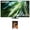 Titan Black, variant on SAMSUNG 43” Class QN90D Neo QLED 4K Smart TV QN43QN90DAFXZA 2024