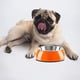 thumbnail image 5 of Cuenco de acero inoxidable para mascotas, cuenco para comida para perros, cuenco de melamina de doble capa para gatos, cuenco para mascotas, 5 of 5