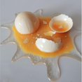 thumbnail image 3 of Hilarious Broken Egg Phone Stand - Prank Toy, 3 of 6