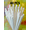 White, variant on 40 Pcs Red White And Blue Star-Shaped REUSABLE Straws, USA 250th Anniversary 4th of July Decorations, Dishwasher Safe 9" Plastic Straws, Independence Memorial Day Patriotic Party Supplies, Blue