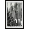 thumbnail image 2 of Vintage Cactus Framed Painting Art Print, 12.00" x 1.50", 2 of 6