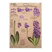 Plaid Folk Art One Stroke Reusable Painting Teaching Guide: (Hyacinth/Lily)