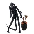 thumbnail image 1 of Aliens VS Predaor Figuras de acción Modelo Juguetes AVP Xenomorph Facehugger Chestburster Eggs Ultimate Edition 23cm zhangyuxiang unisex, 1 of 2