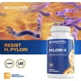 thumbnail image 6 of BioMatrix Pylori-x | Stomach and GI Support for H. Pylori Defense | Mastic Gum Berberine | Matula Tea Alternative (120 Caps), 6 of 7