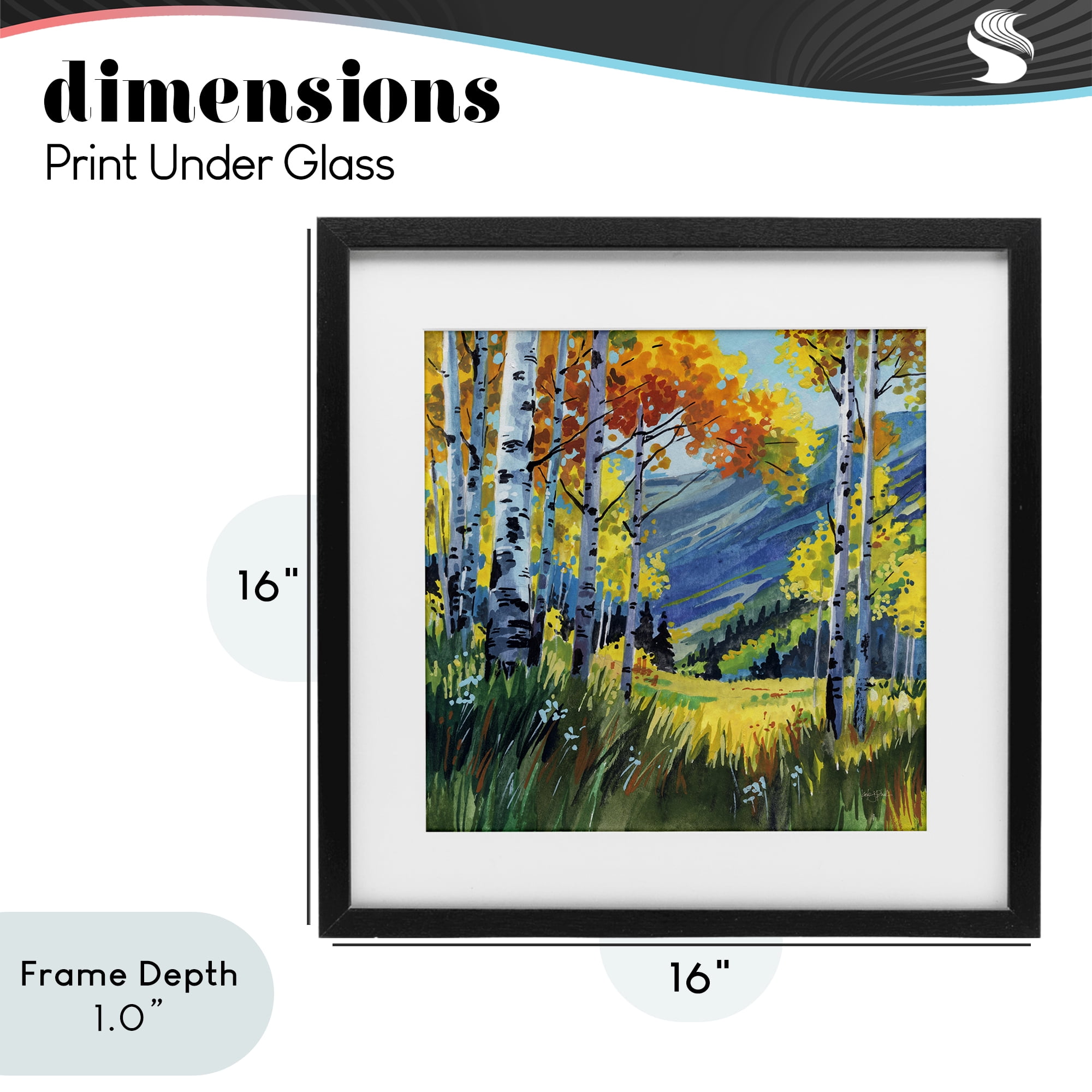Stupell Industries Autumn Golden Birch Grove Black Framed Print Under Glass, design by Kate Jarvik Birch