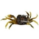 3 PCS 10cm 30g Leurres de Pêche Doux Crabe Appât Artificiel Appât de Poisson Mou avec Crochet Pointu – image 5 sur 7