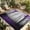 Purple, variant on Purple Forest Outdoor Rug for Patio/Deck/Porch, Non-Slip Large Area Rug 5 x 7 Ft, Vintage Foggy Woods Tree Mysterious Indoor Outdoor Rugs Washable Area Rugs, Reversible Camping Rug Carpet Runner