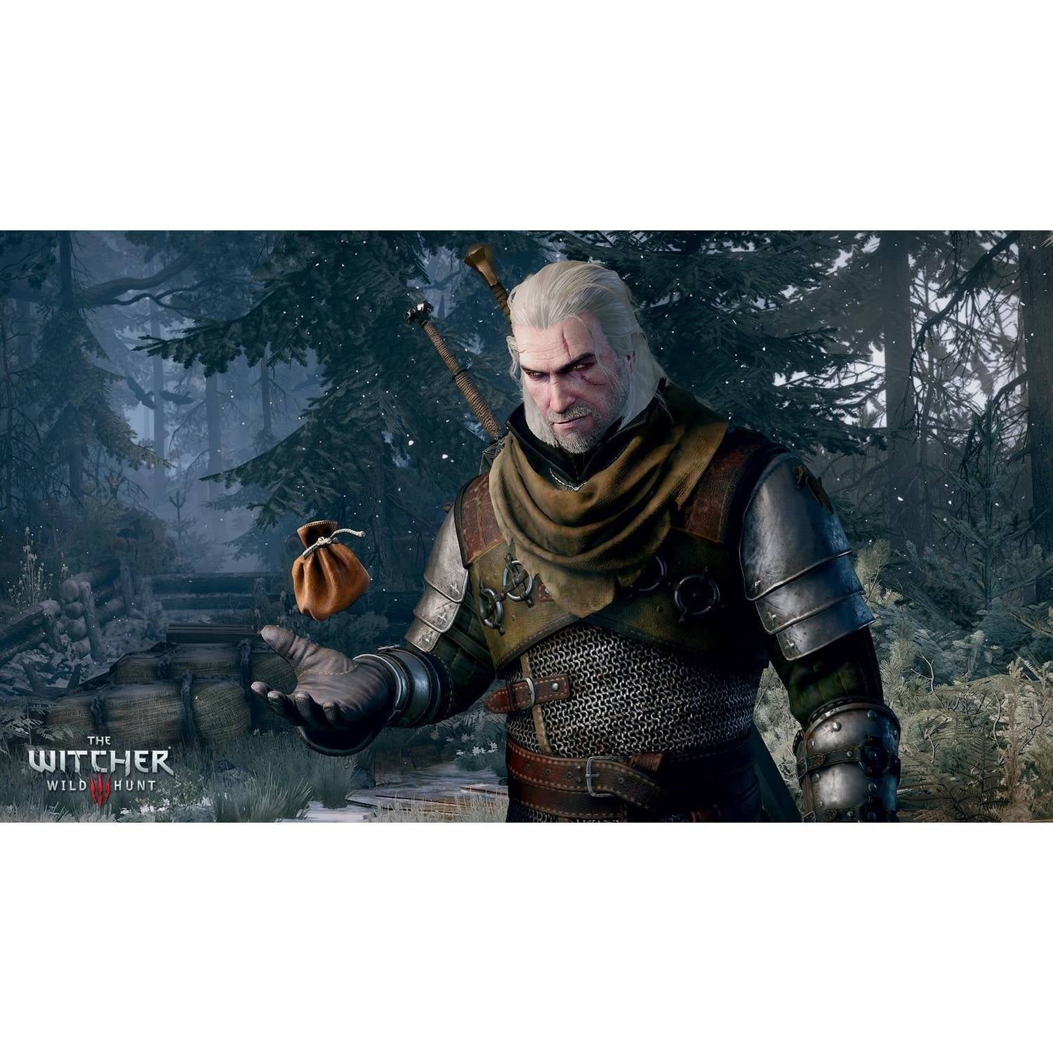 The Witcher 3 WILD HUNT - PS4 w/ Bonus Content. Walmart Exclusive 