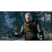 Warner Bros. The Witcher 3: Wild Hunt Video Games - PlayStation 4