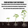 thumbnail image 5 of Plant Hormone Rooting Powder - Stimulate Root Growth For Transplanting And Cuttings - 100g Size, 5 of 5