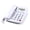 White, variant on Yammee Traditional Landline Device With Oversized Button Clear Call Display Telephone