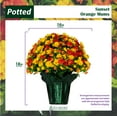 thumbnail image 2 of Sympathy Silks Artificial Flowers Weighted Pot Bouquet Decoration - 4 Pack of Sunset Orange Mum Pots, 2 of 7