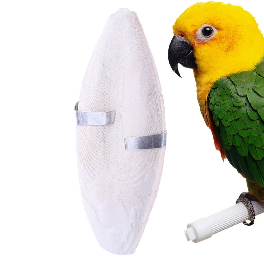 FREE gifts & price promise Cuttle Bone for Parakeets Budgies Cockatiels
