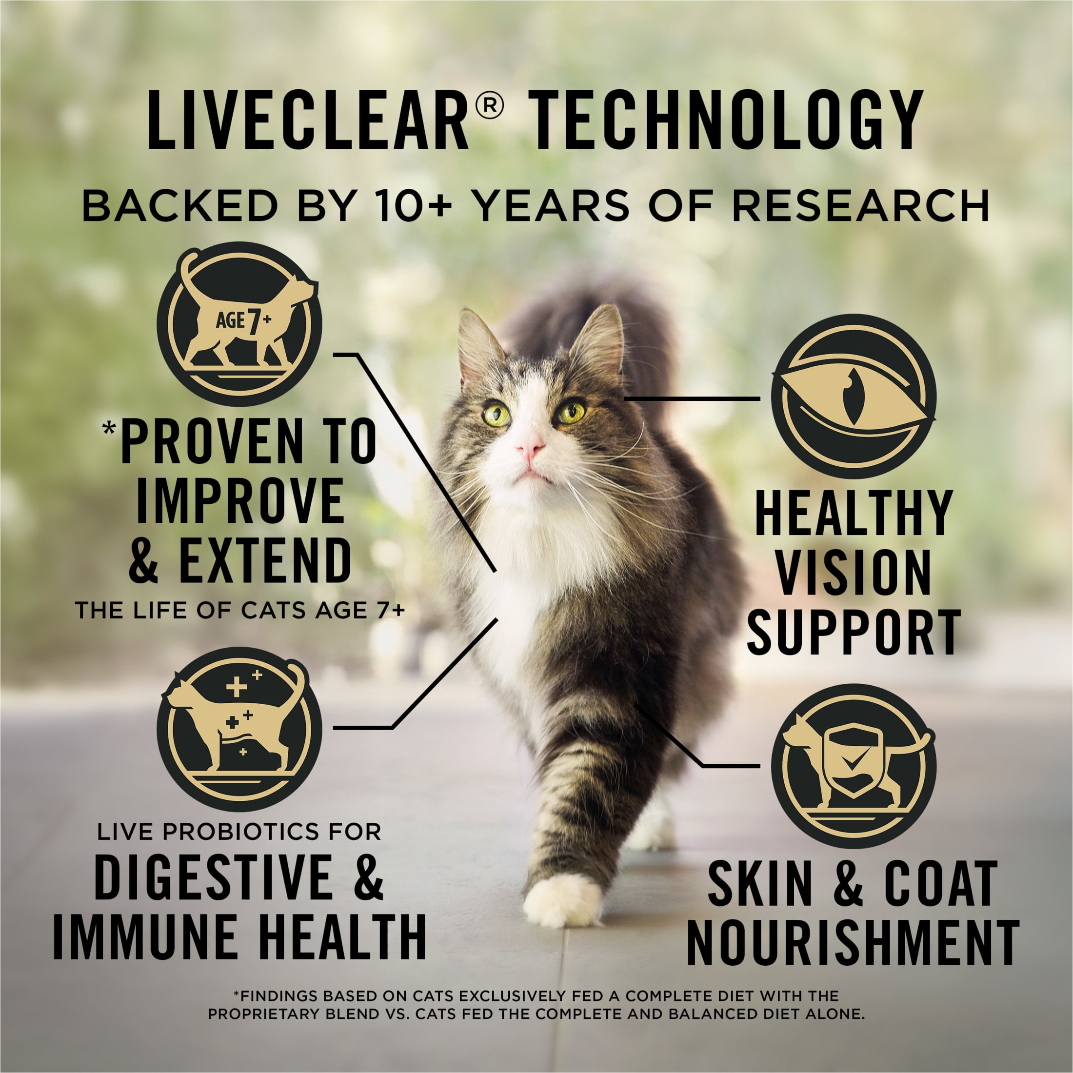 Purina Pro Plan LiveClear Cat Food 7+ Cat Allergen Reducer Chicken and Rice Formula Dry Cat Food