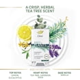 thumbnail image 3 of Dove Care by Plants Tea Tree 24H Deodorant 2.6 oz, 3 of 12