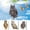 A2265 christmas decorations under 5$, variant on Owl Bird Repellent under $5! Yannianjz Owl Bird Deterrent, Reflective Bird Repellent, Hanging Garden Decor, Double Sided Scarecrow, Outdoor Bird Control for Trees Balcony Farm
