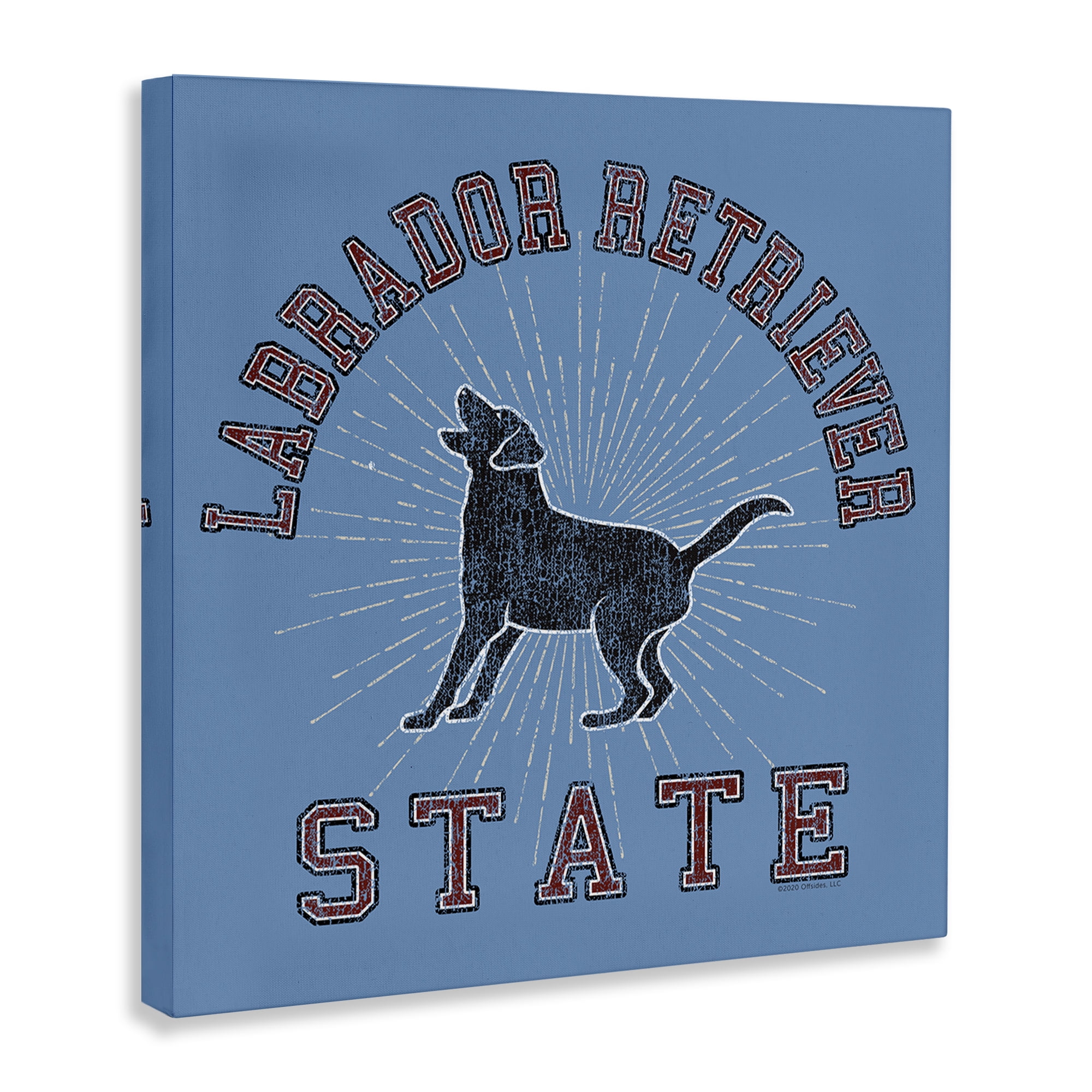 Stupell Industries Varsity Labrador State Novelty & Humor Painting Wrapped Canvas Art Print Wall Art, 17 x 17
