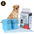 thumbnail image 1 of Pañal Almohadilla Entrenamiento Para Perro Y Gato 40pz 60x60 LARGE, 1 of 5