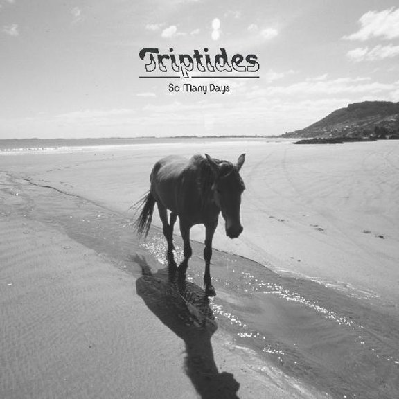 The Triptides - So Many Days - Music & Performance - Vinyl