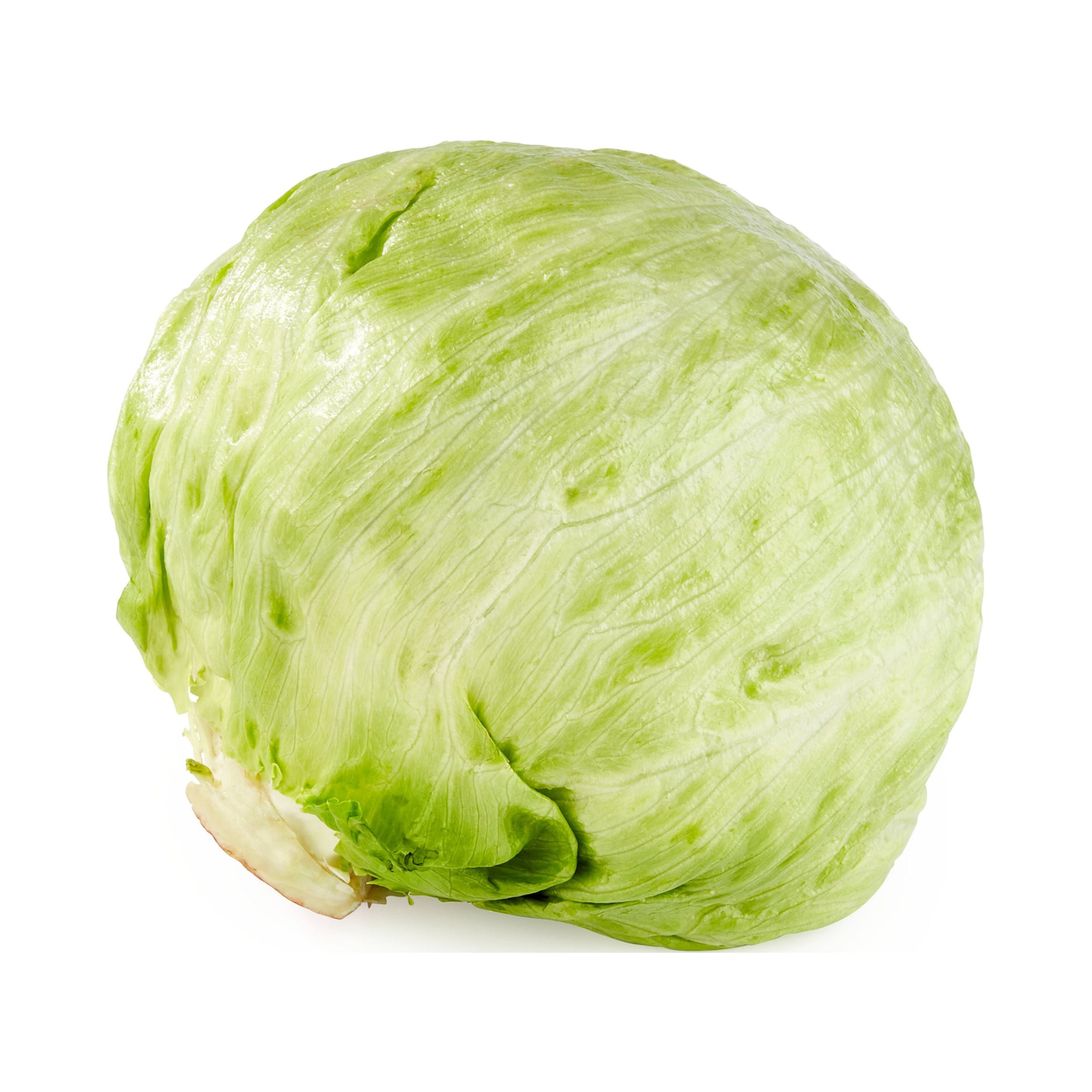 None Fresh Iceberg Lettuce, Each