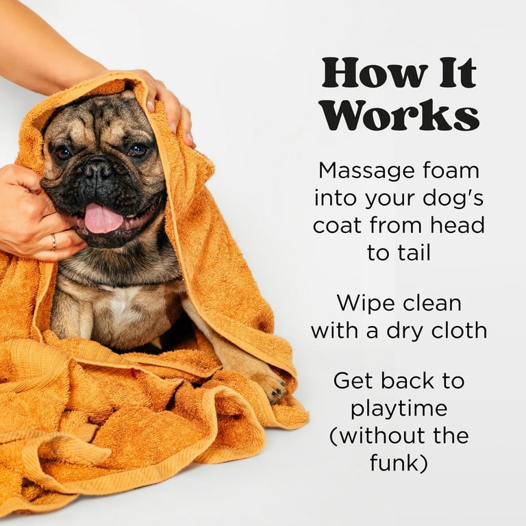 Pet-Pourri Rinse-Free Dry Shampoo, Pineapple photo 5