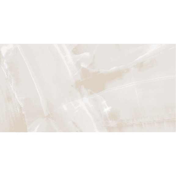 The Tile Life Montague Onice 24" x 48" Polished Porcelain Floor and Wall Tile 2-Piece