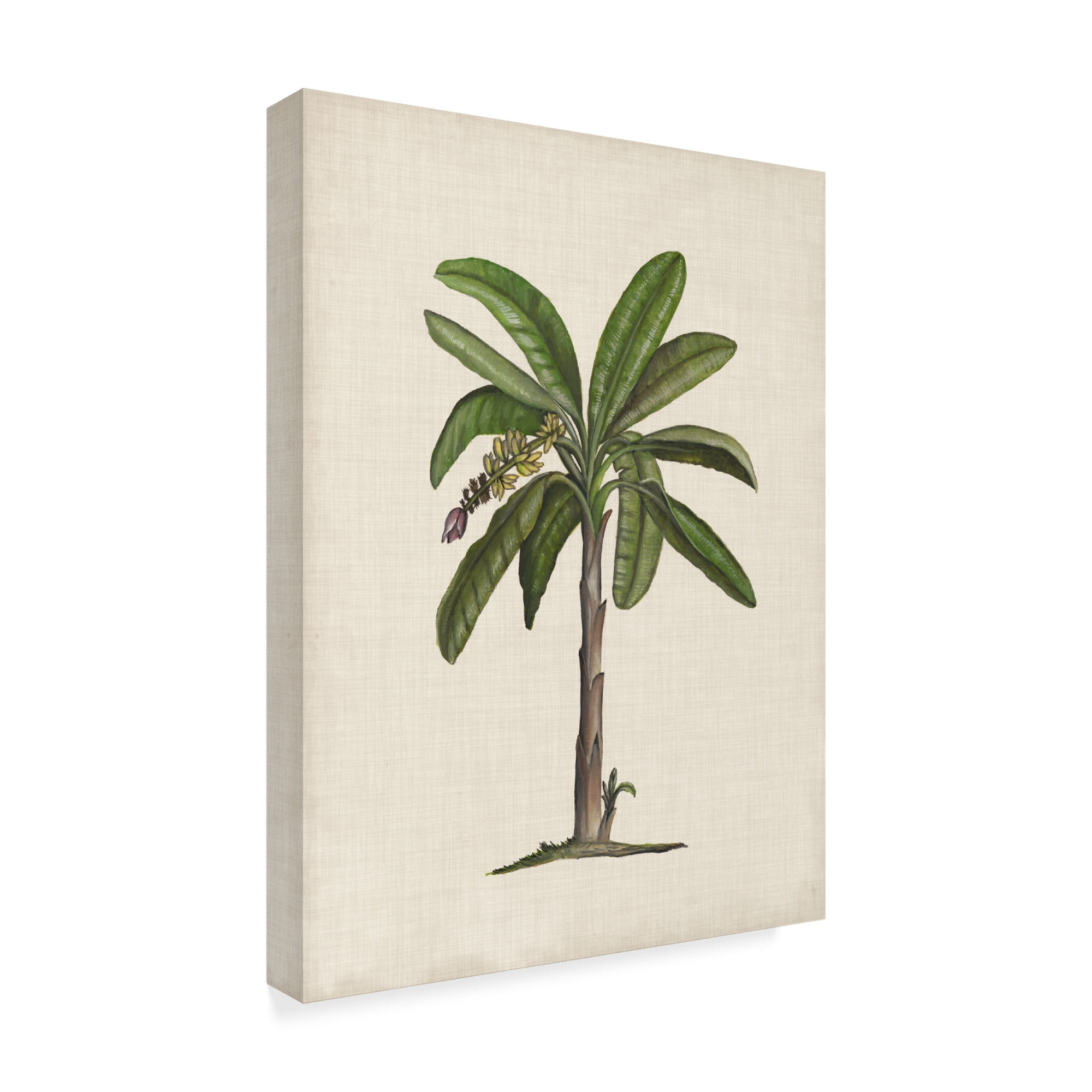 Trademark Fine Art 'British Palms II' Canvas Art by Naomi McCavitt