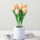 thumbnail image 4 of Lámpara de noche de tulipán LED recargable, paquete de flores de simulación, lámpara de imitación, mesita de noche para dormitorio, 4 of 6