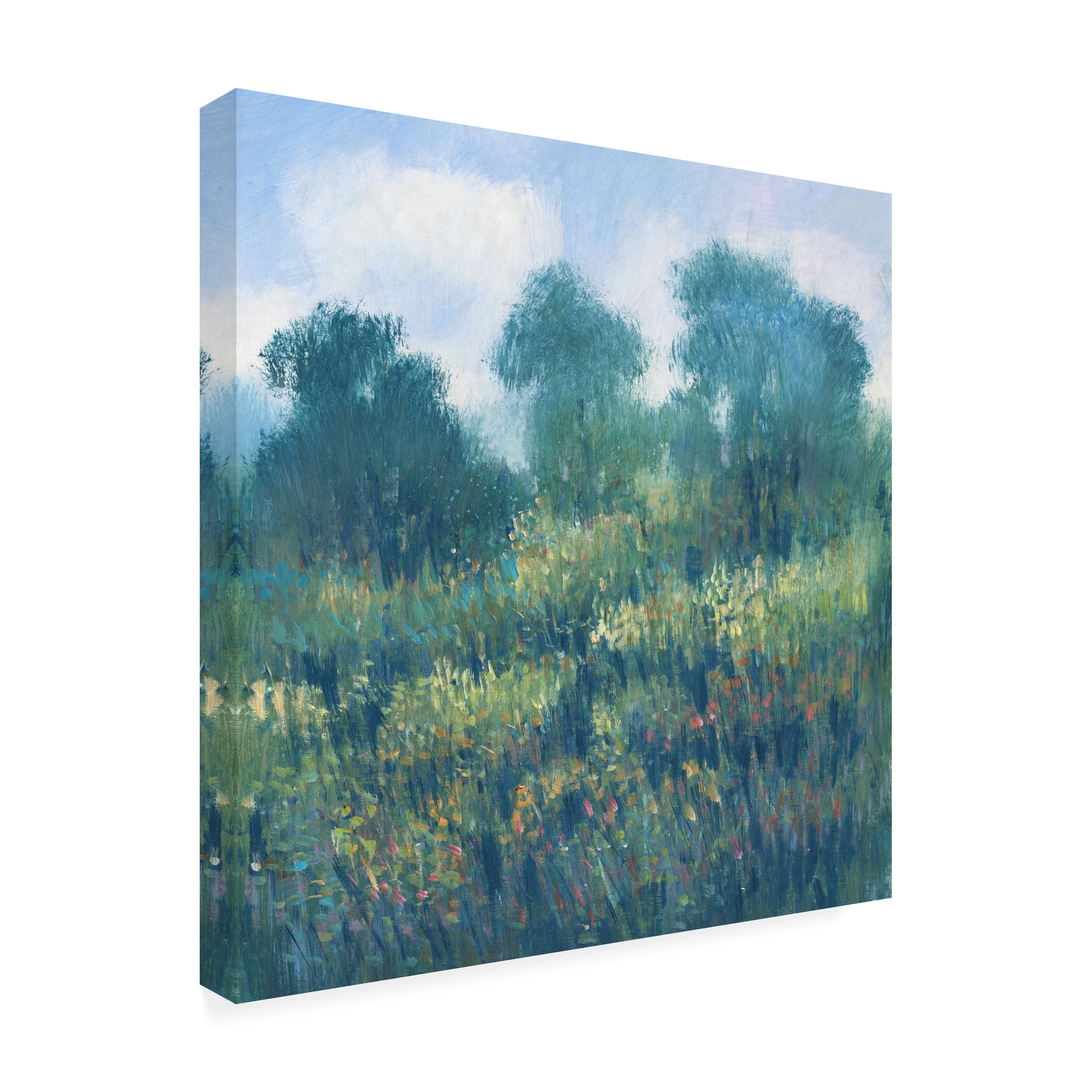 Tim OToole 'Meadow Wildflowers II' Canvas Art