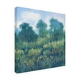 thumbnail image 2 of Tim OToole 'Meadow Wildflowers II' Canvas Art, 2 of 4
