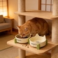 thumbnail image 6 of AYktou Ceramic Dog Bowl Set - Double Dog Cats Food and Water Bowls with Stand, Slightly Levated Feeding Station Pet Dish Feeder Ceramic Pet Bowls Removable Cats Bowls for Puppies Dog and Cats, 6 of 8
