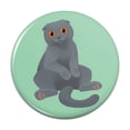 thumbnail image 1 of Scottish Fold Cat Pinback Button Pin, 1 of 4