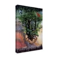 thumbnail image 2 of Trademark Fine Art 'Save The Rainforest' Canvas Art by Harro Maass, 2 of 3
