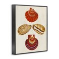 thumbnail image 2 of Stupell Industries Coastal Antique Speckled Sea Shells Black Framed Giclee Art, 24 x 30, by G.W. Knorr, 2 of 7