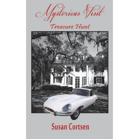 Mysterious Visit: Treasure Hunt, (Paperback)