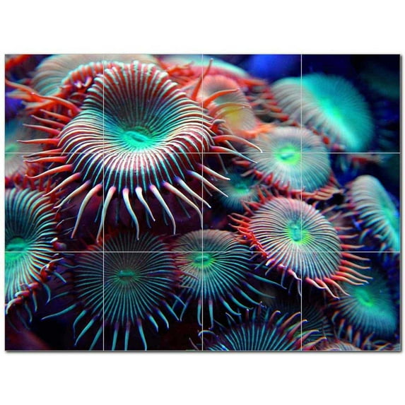 Coral Fish Underwater Ceramic Tile Mural Kitchen Backsplash Bathroom Shower 403024-S43