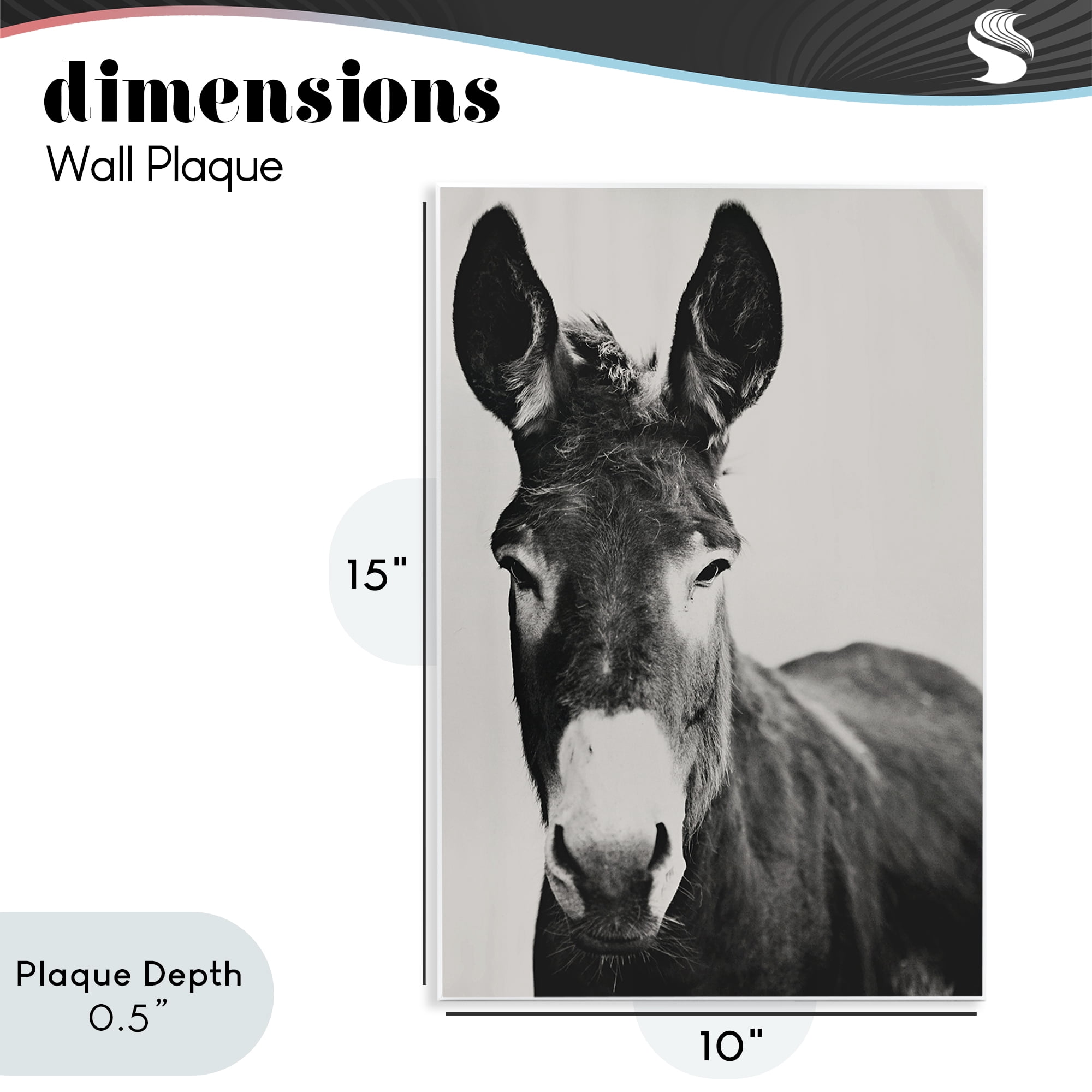 Stupell Industries Franz the Donkey Portrait Wall Plaque Art, design by Amy Carroll