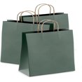 thumbnail image 1 of Bolsas de papel Kraft verde azulado oscuro, 16" x 6" x 12" a granel. Paquete de 10 bolsas grandes para compras con asas. Bolsas de papel recicladas artesanales sin logotipo para pequeñas empresas;, 1 of 6