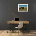 thumbnail image 3 of Garber, Howie 14x11 White Modern Wood Framed Museum Art Print Titled - Wild stallions of Onaqui Herd graze along Pony Express Byway near Dugway, 3 of 4