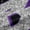 Black Purple B, variant on Feelyou Fashion Monogrammed K Black Out Curtains, Bling Butterfly Animal Curtains Pack of 2 (42x63 Each), Black Purple Sequin Print Bedroom Curtains, Living Room Curtains Decor