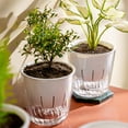 thumbnail image 6 of Self Watering Planter | Transparent Double Layer Flower Pot - Plastic Indoor Pot | Built-In Water Storage & Wick System for Succulents Herbs Flowers | 11.5x11.5x11cm | White | 1 Piece, 6 of 8